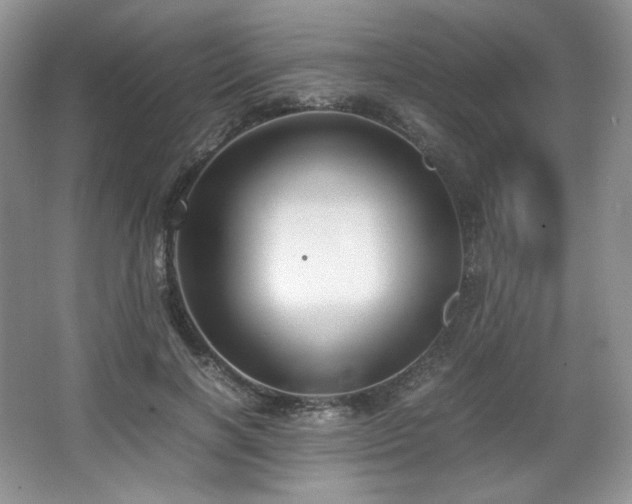 X0000067830646200604171128