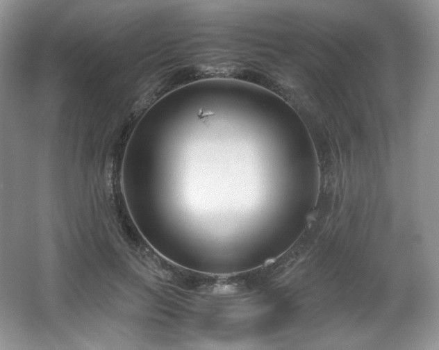 X0000067830647200604171128