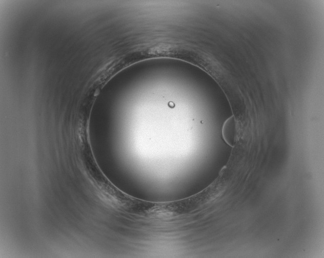 X0000067830648200604171128