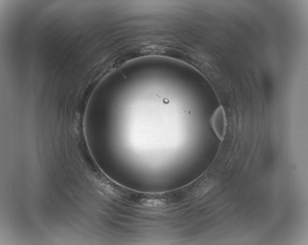 X0000067830649200604171128