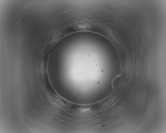 X0000067830651200604171128