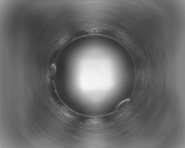 X0000067830652200604171128