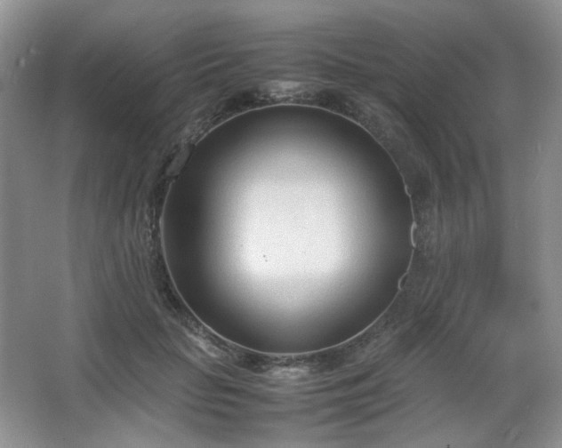 X0000067830653200604171128