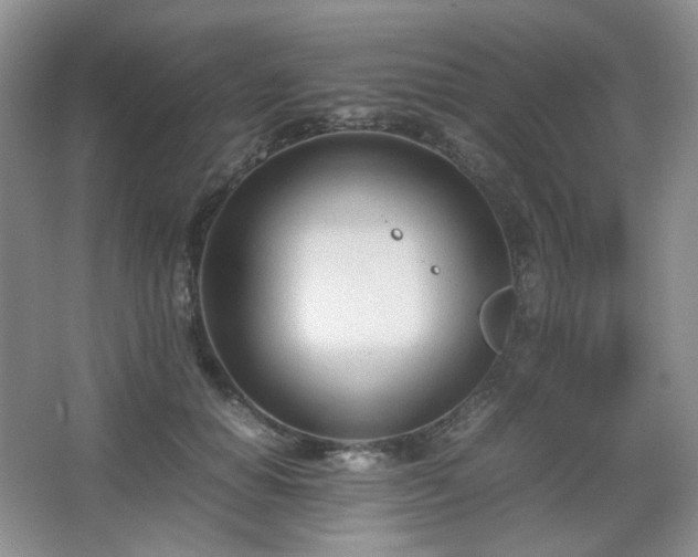 X0000067830654200604171128