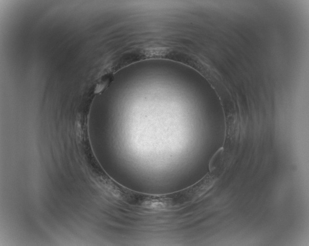 X0000067830655200604171128