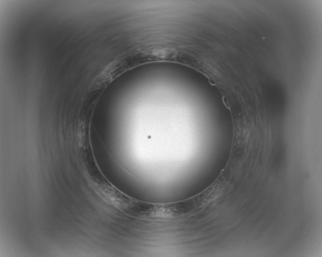 X0000067830656200604171128