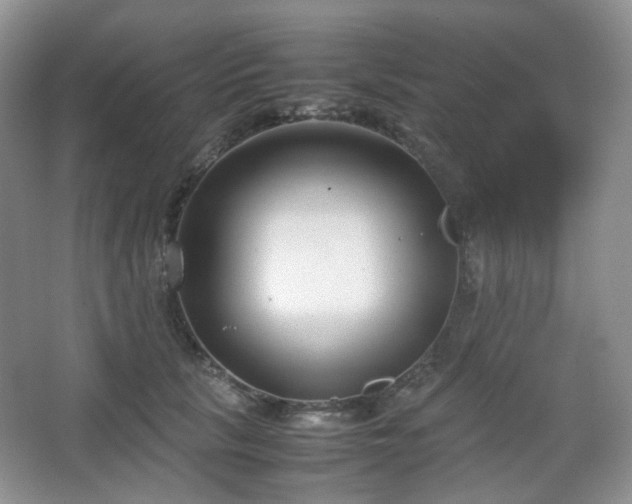 X0000067830657200604171128