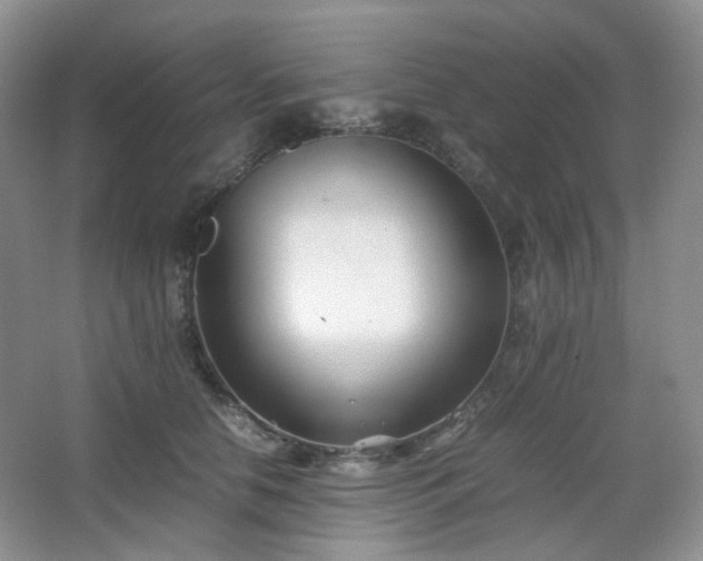 X0000067830658200604171128