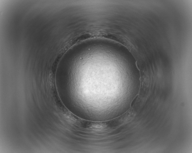 X0000067830659200604171128