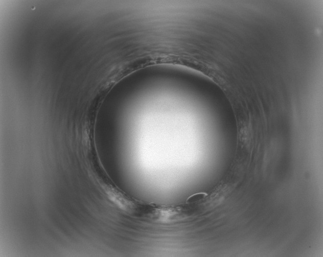 X0000067830662200604171128