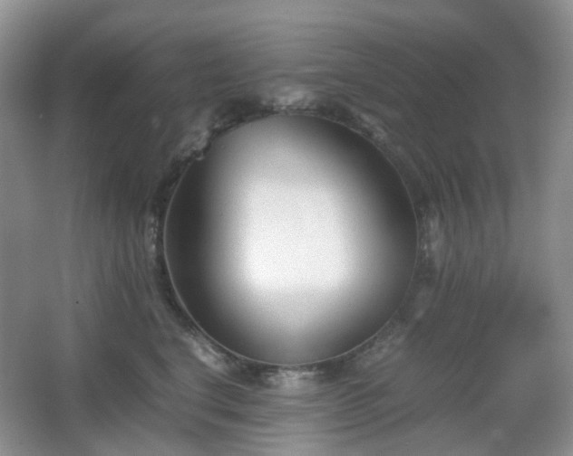 X0000067830664200604171128