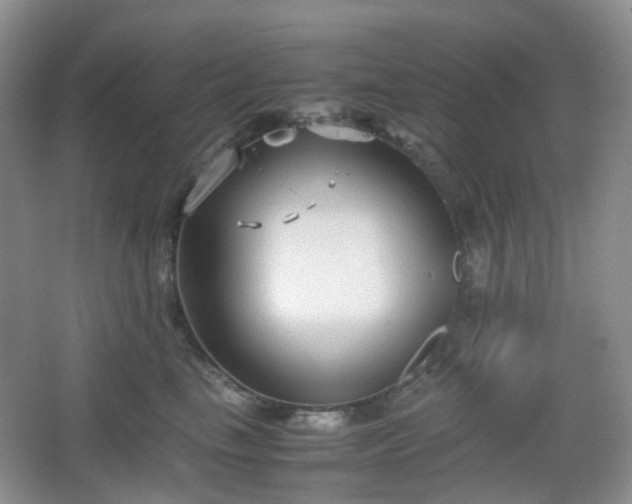 X0000067830665200604171128