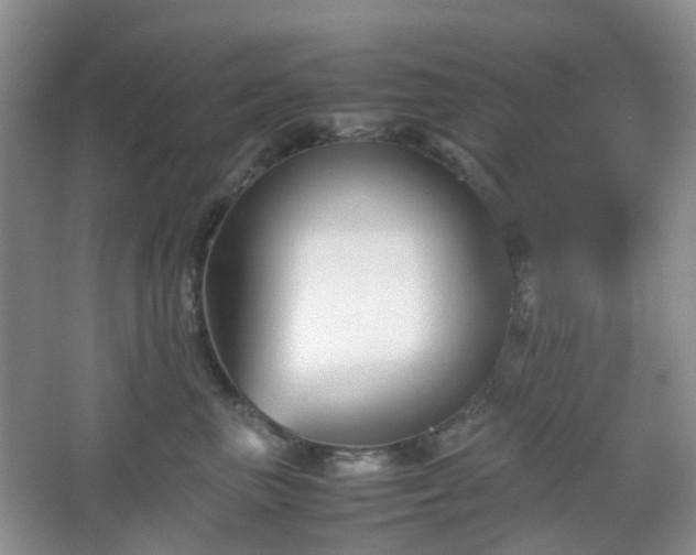 X0000067830667200604171128