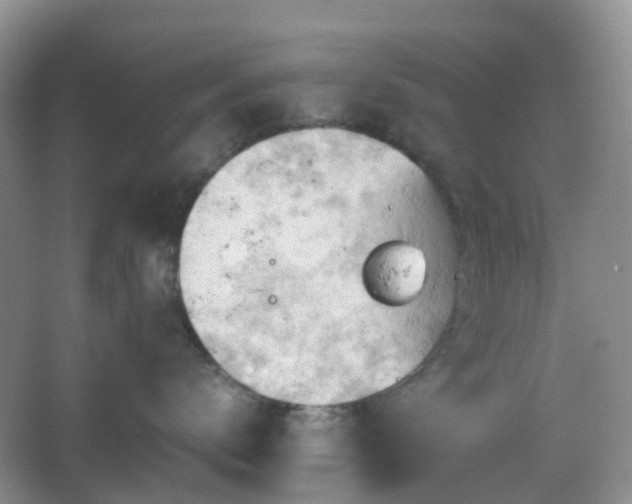 X0000067830672200604171128