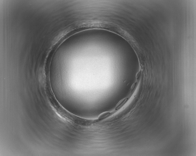 X0000067830674200604171127