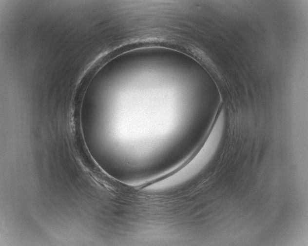 X0000067830676200604171127