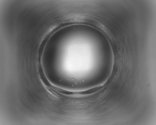 X0000067830677200604171127