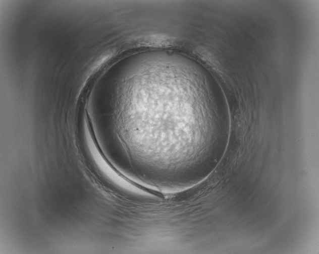 X0000067830679200604171127