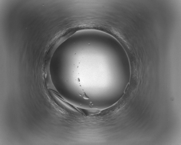 X0000067830681200604171127