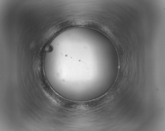 X0000067830683200604171127