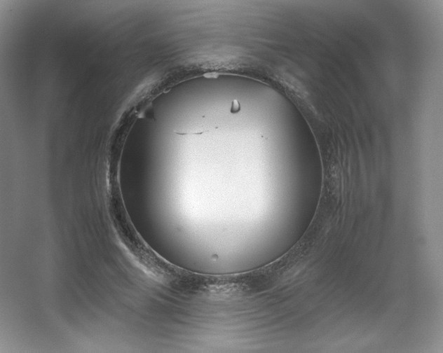 X0000067830686200604171127