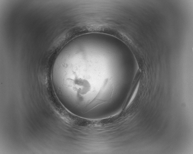 X0000067830687200604171127