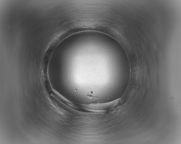 X0000067830688200604171127