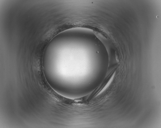 X0000067830689200604171127