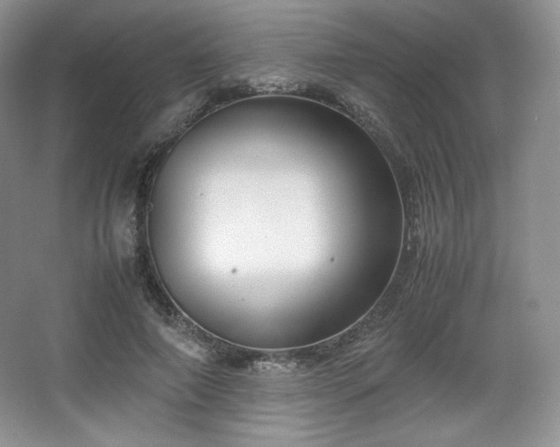 X0000067830690200604171127