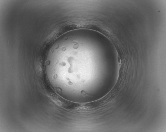 X0000067830691200604171127