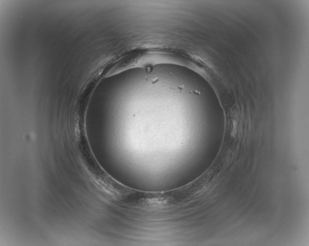 X0000067830692200604171127