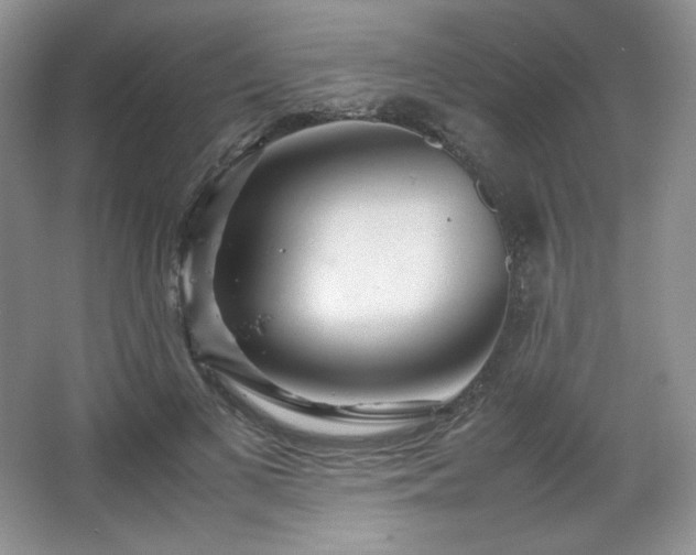 X0000067830693200604171127