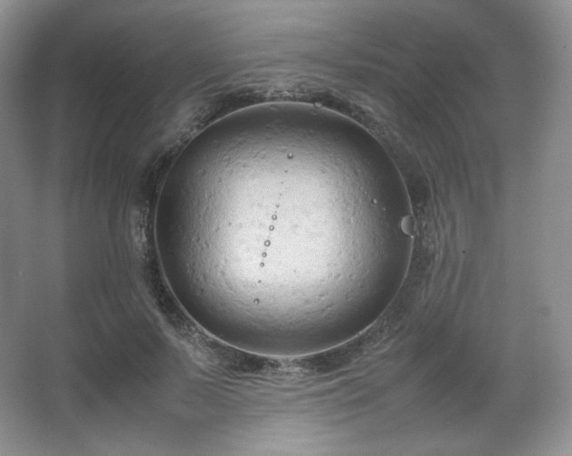 X0000067830695200604171127