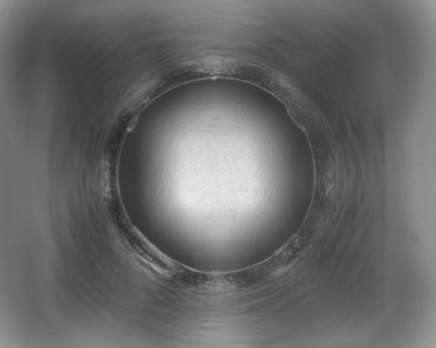 X0000067830696200604171127