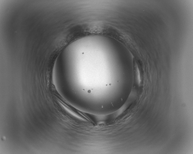 X0000067830697200604171127