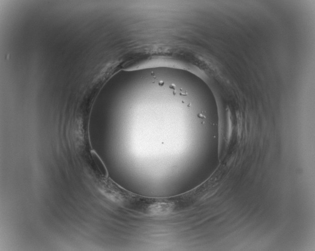 X0000067830700200604171127