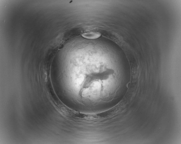 X0000067830703200604171127