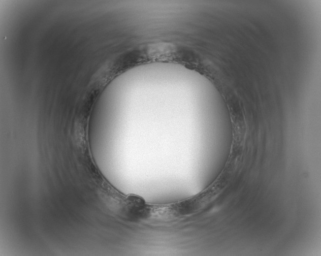 X0000067830705200604171127