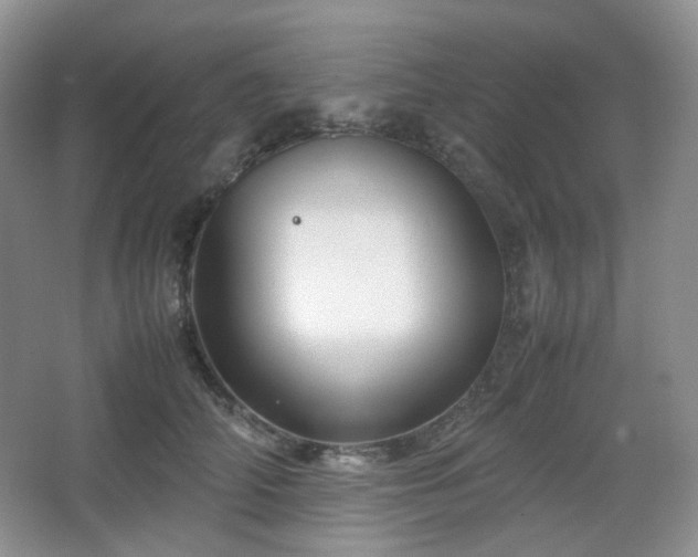 X0000067830706200604171127