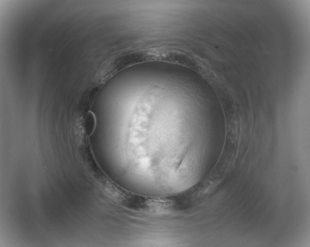 X0000067830707200604171127