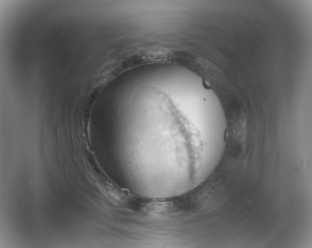 X0000067830711200604171127