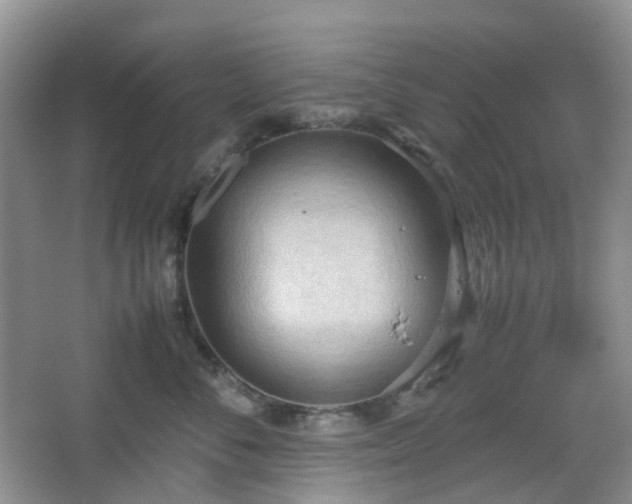 X0000067830716200604171127