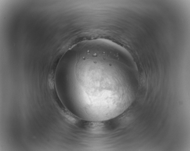 X0000067830719200604171127