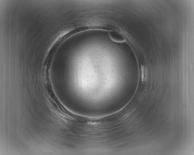 X0000067830723200604171126