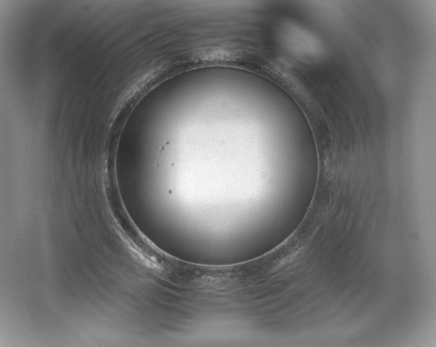 X0000067830725200604171126