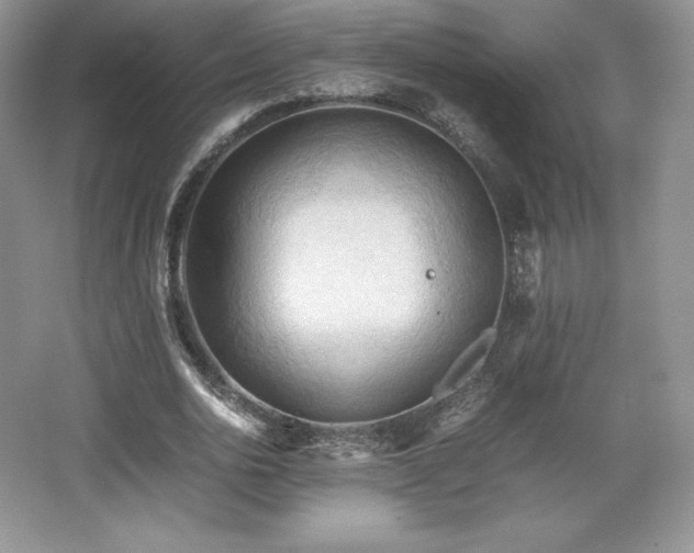 X0000067830726200604171126