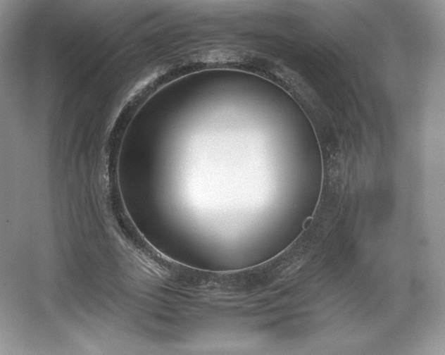 X0000067830727200604171126