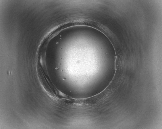 X0000067830728200604171126