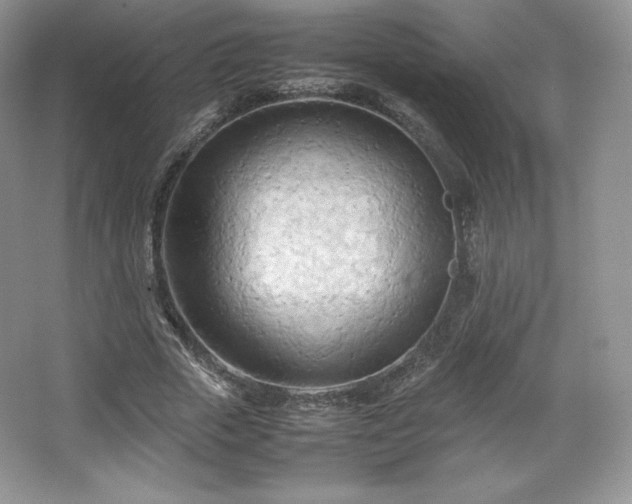 X0000067830729200604171126