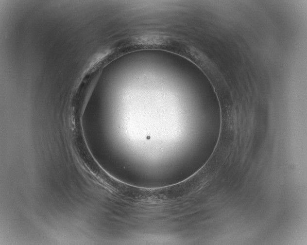 X0000067830731200604171126